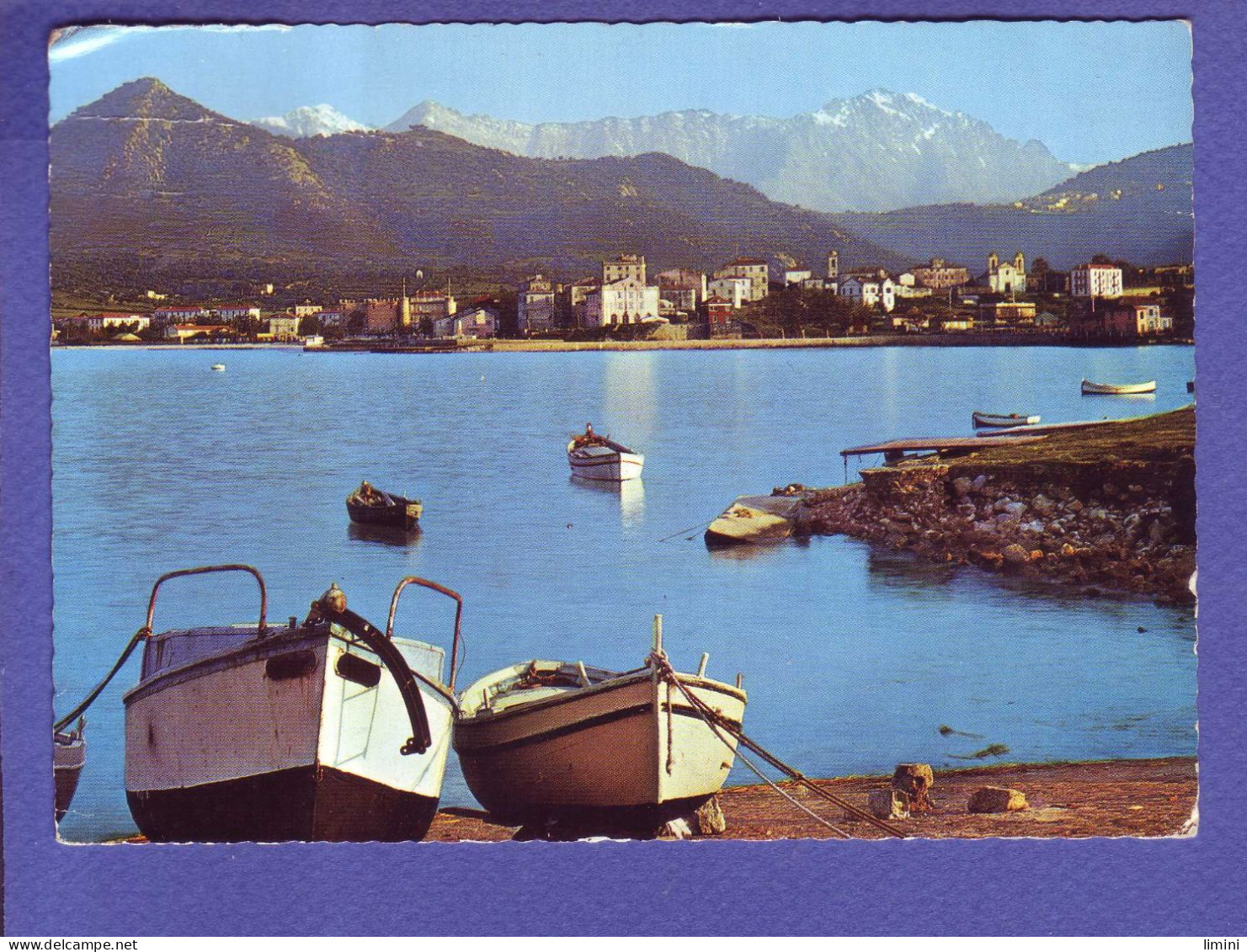 20 - ILE ROUSSE - VUE PITTORESQUE De La MARINE -  - Corse