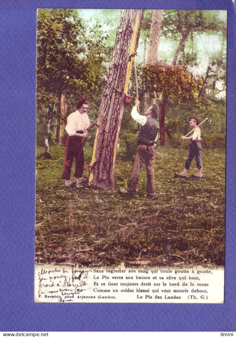 40  - LANDES - RECOLTE De La RESINE - ANIMEE - COLORISEE - - Aquitaine