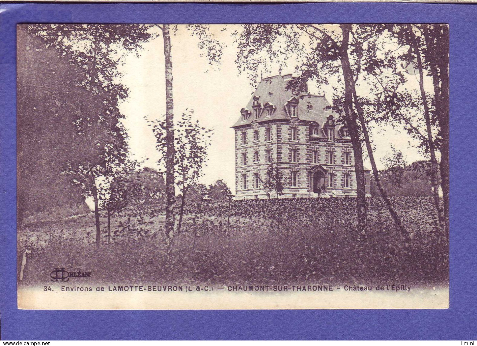 41 - CHAUMONT Sur THARONNE - CHATEAU De L'EPILLY - ENVIRON De LAMOTTE BEUVRON -  - Lamotte Beuvron