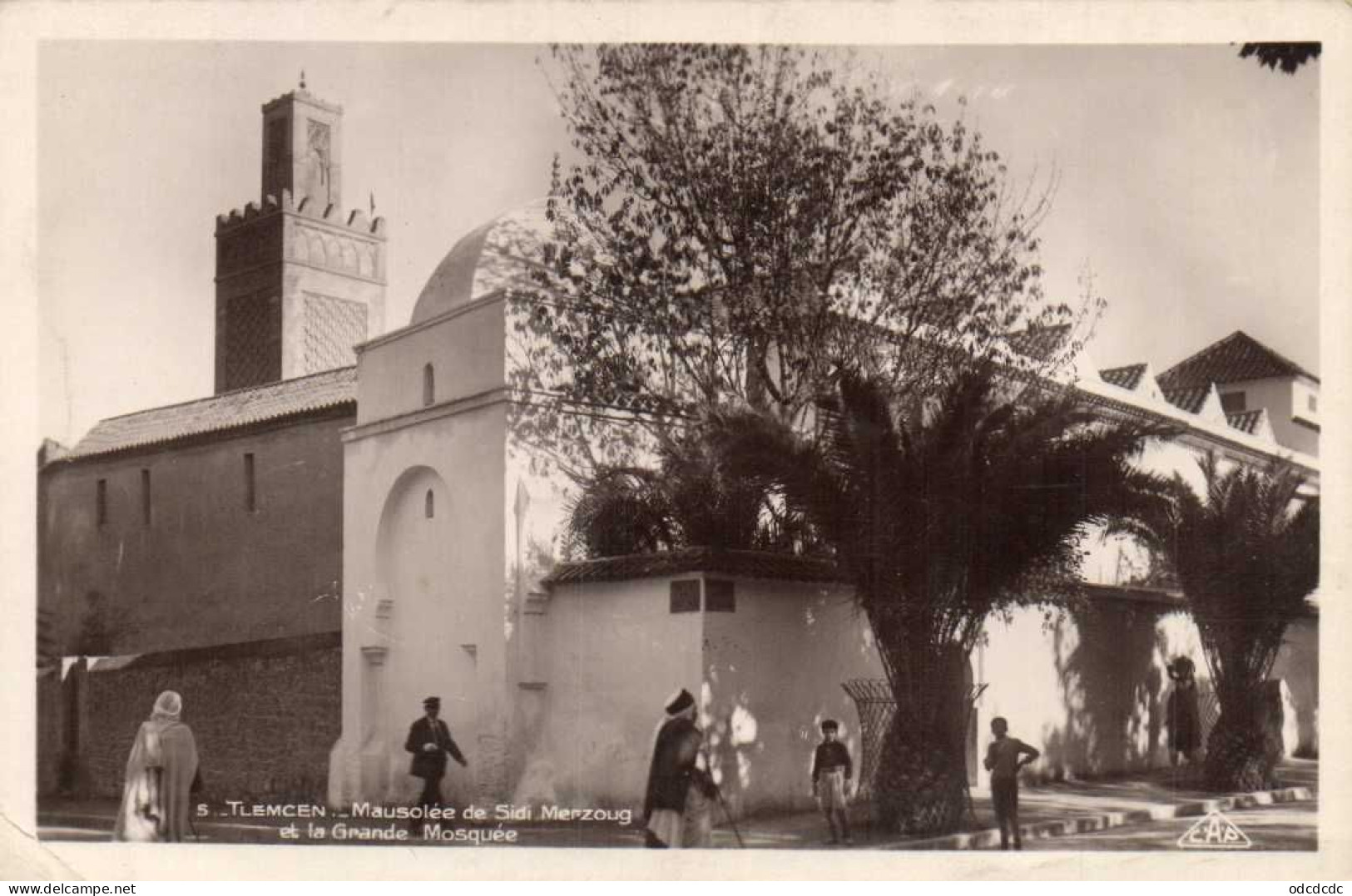 TLEMCEN Mausolée De Sidi Merzoug Et La Grande Mosquée Animée RV - Tlemcen