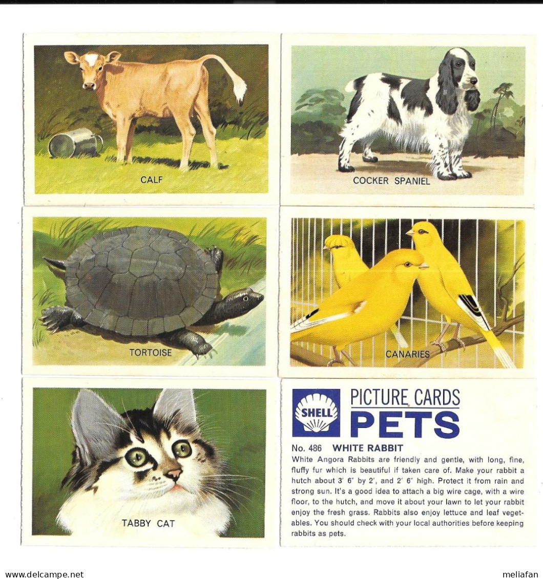DQ17 - SERIE COMPLETE 80 CARTES SHELL - PETS - ANIMAUX DE COMPAGNIE - Sonstige & Ohne Zuordnung