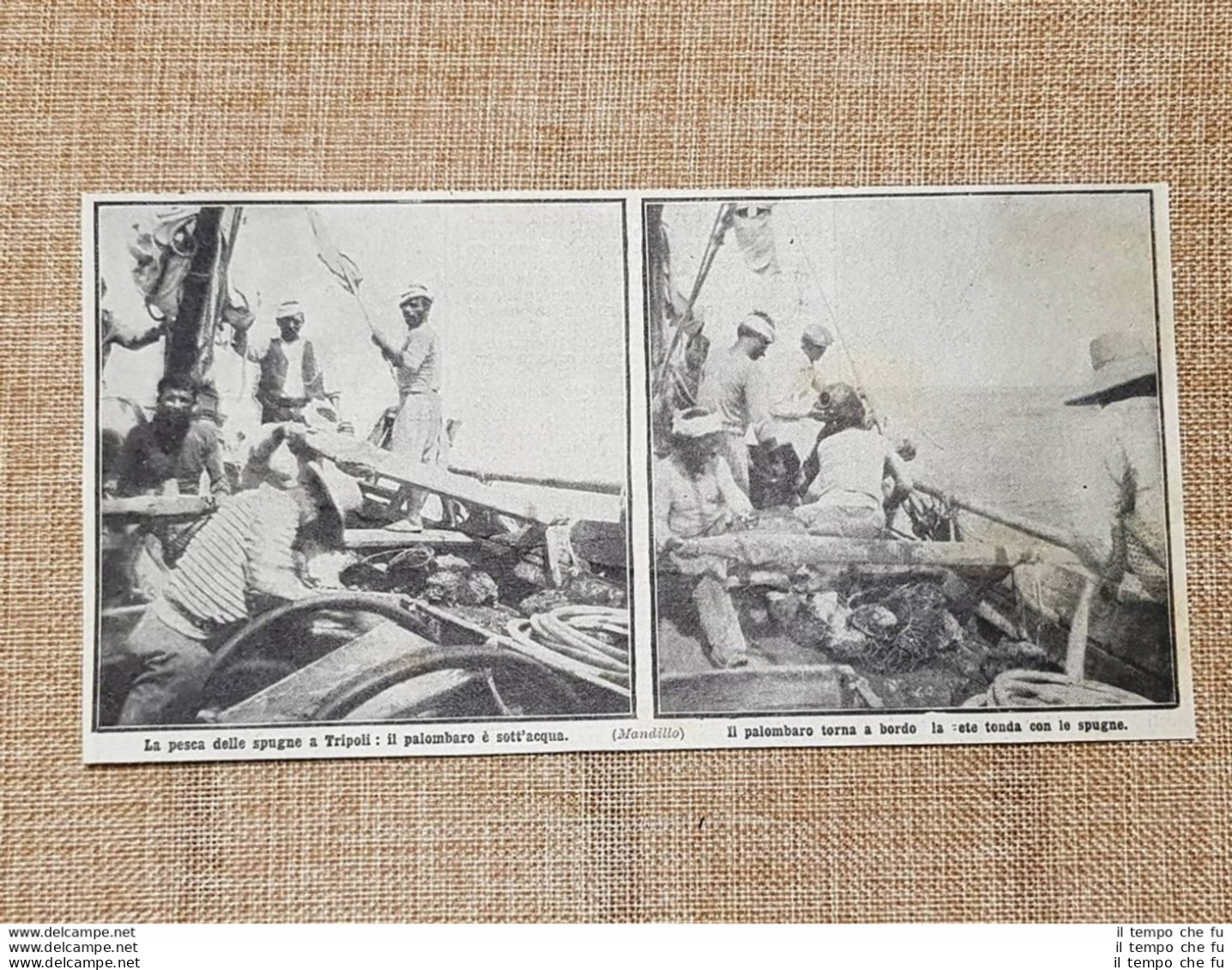 Tripoli Nel 1912 I Palombari Nella Pesca Delle Spugne Sott'acqua Libia - Other & Unclassified