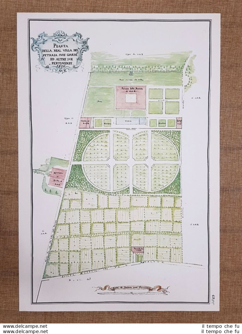 Pianta Villa Medicea E Giardini Della Petraia Firenze Toscana Nel 700 Litografia - Geographical Maps