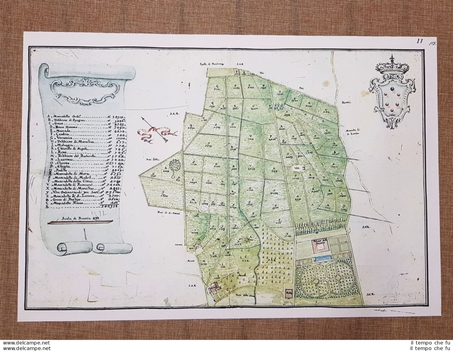 Pianta Vigne Della Villa Medicea Di Castello Firenze Toscana Nel 700 Litografia - Geographical Maps