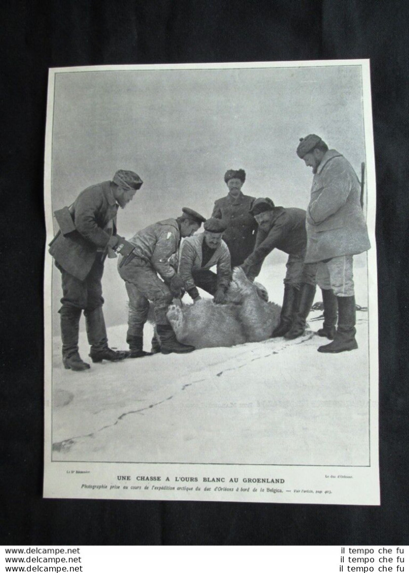 Caccia All'orso Bianco In Groenlandia. Spedizione Duca D'Orleans Stampa Del 1905 - Autres & Non Classés
