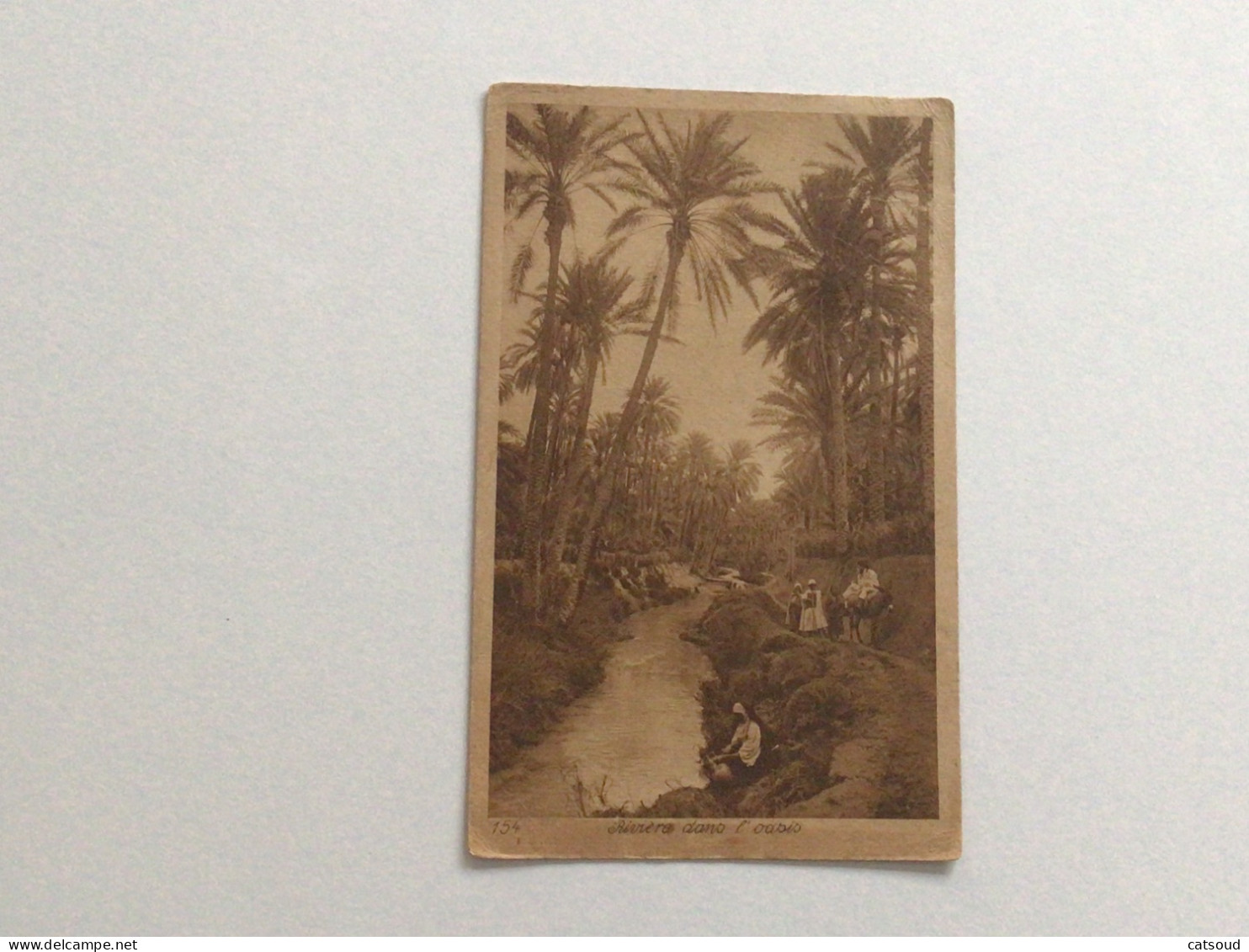 Carte Postale Ancienne (1922) Rivière Dans L’oasis - Algiers
