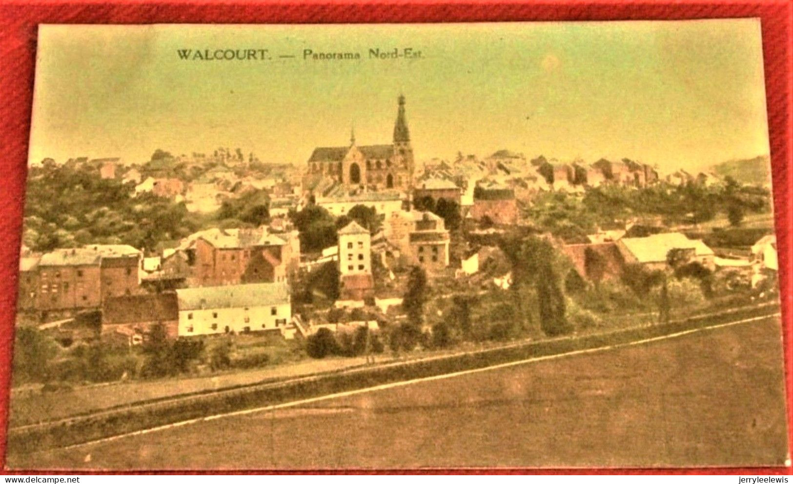 WALCOURT -  Panorama Nord  Est  -  1924  - - Walcourt