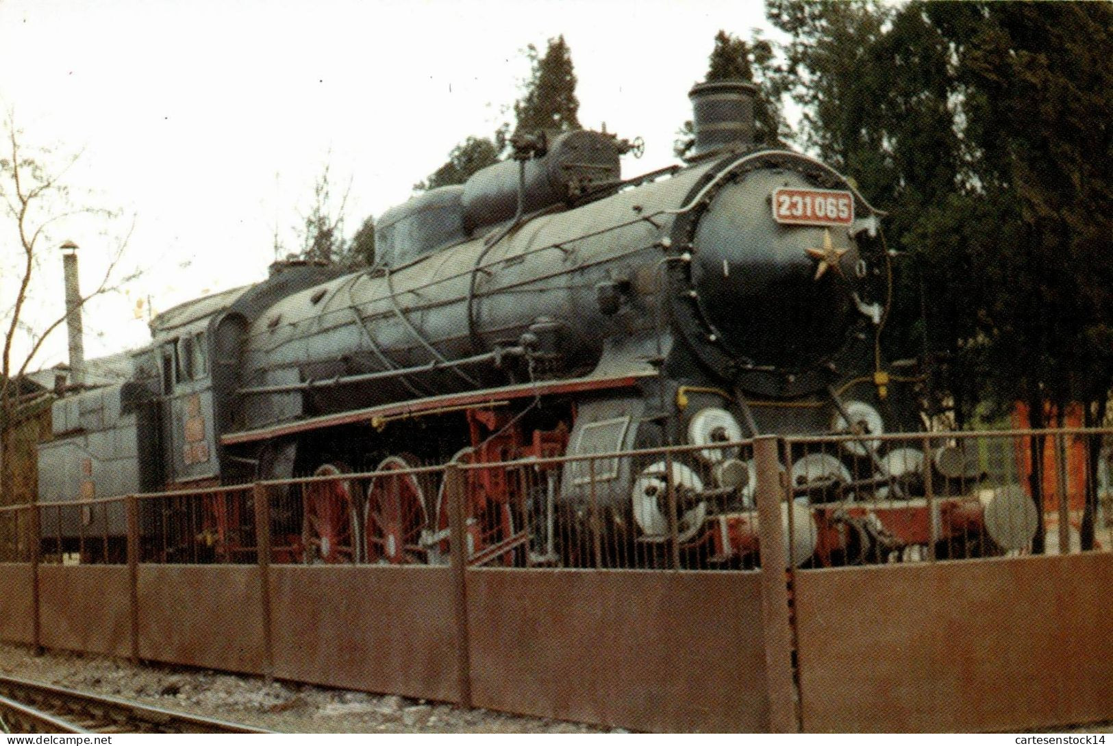 N°2705 W -cpm Locomotive CFR 231 - Eisenbahnen