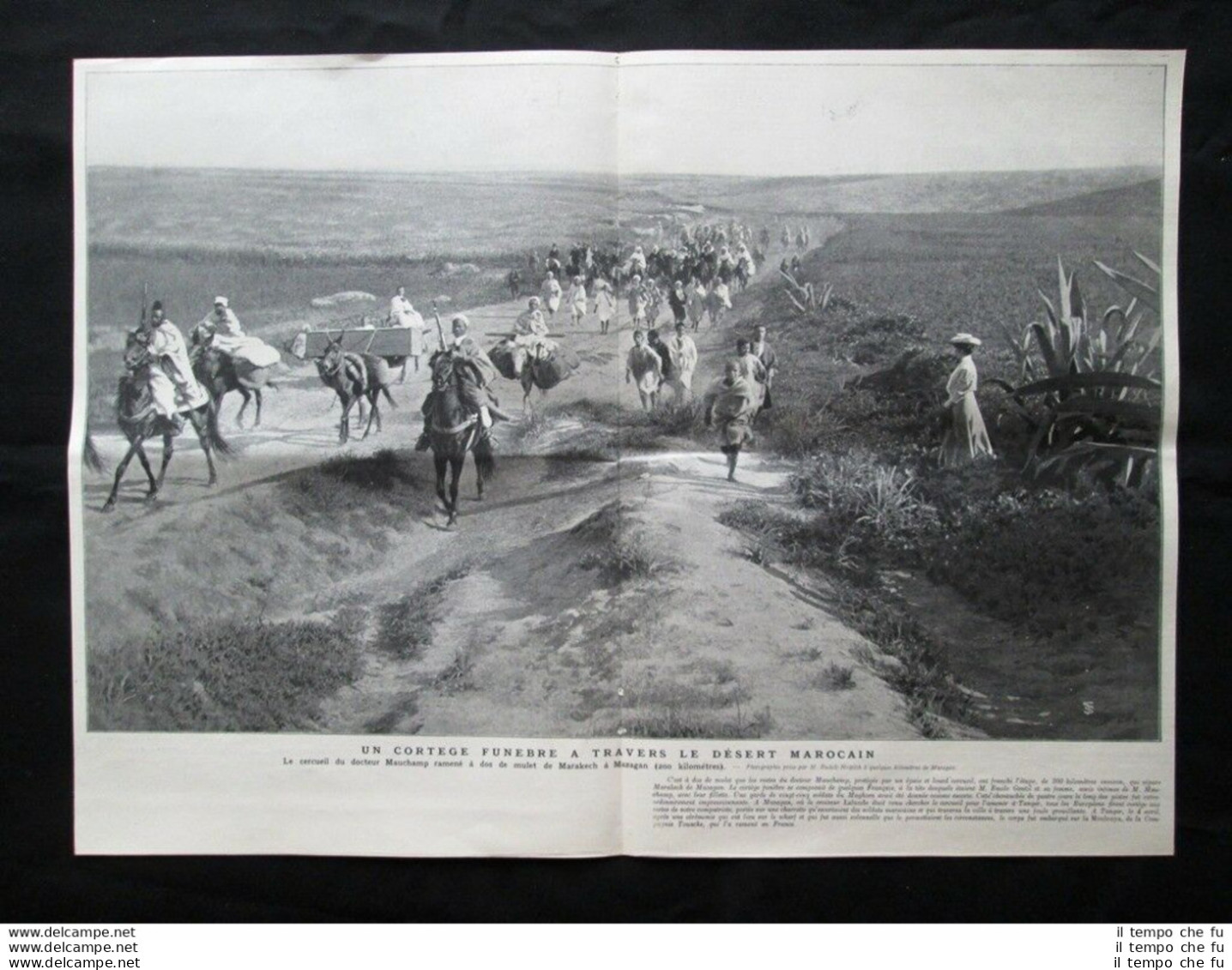 Bara Del Dottor Mauchamp Riportata Da Marrakech A Mazagan Stampa Del 1907 - Sonstige & Ohne Zuordnung