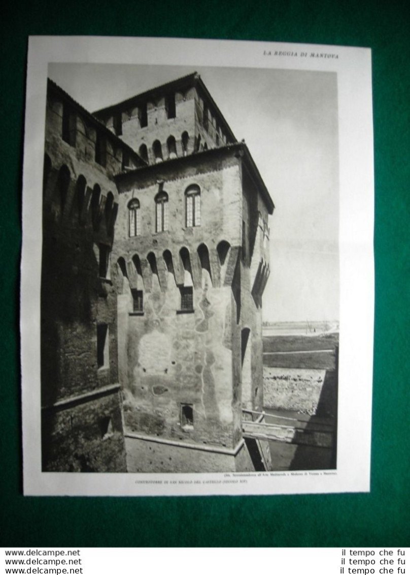 Nel 1931 Reggia Di Mantova Controtorre San Nicolò Del Castello Salone Arcieri - Other & Unclassified