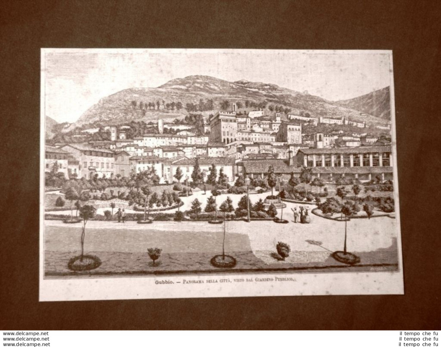 Incisione Del 1891 Rarissimo Panorama Di Gubbio Visto Dal Giardino - Umbria - Vor 1900