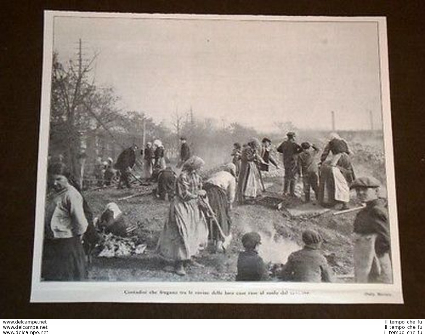 Guerra In Europa Anno 1914 Polonia Contadini Frugano Tra Le Case Rase Al Suolo - Altri & Non Classificati