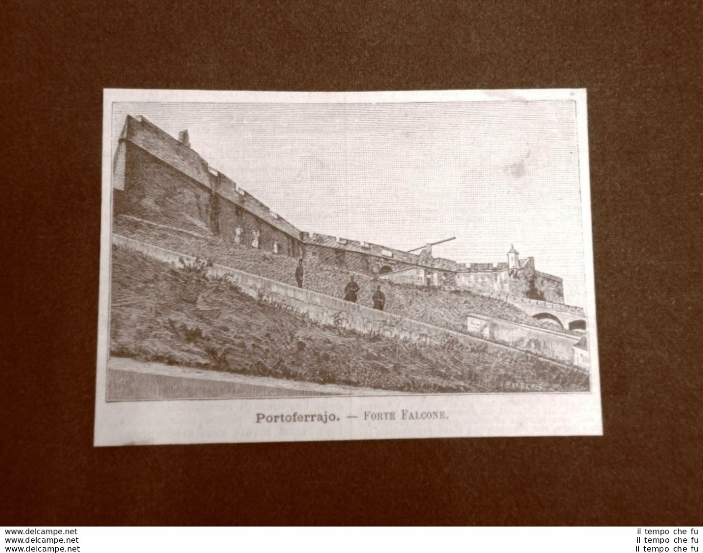 Incisione Del 1891 Portoferraio, Forte Falcone - Toscana - Vor 1900