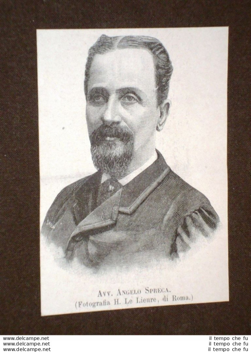 Senatore Nel 1893 Avvocato Angelo Spreca - Vor 1900