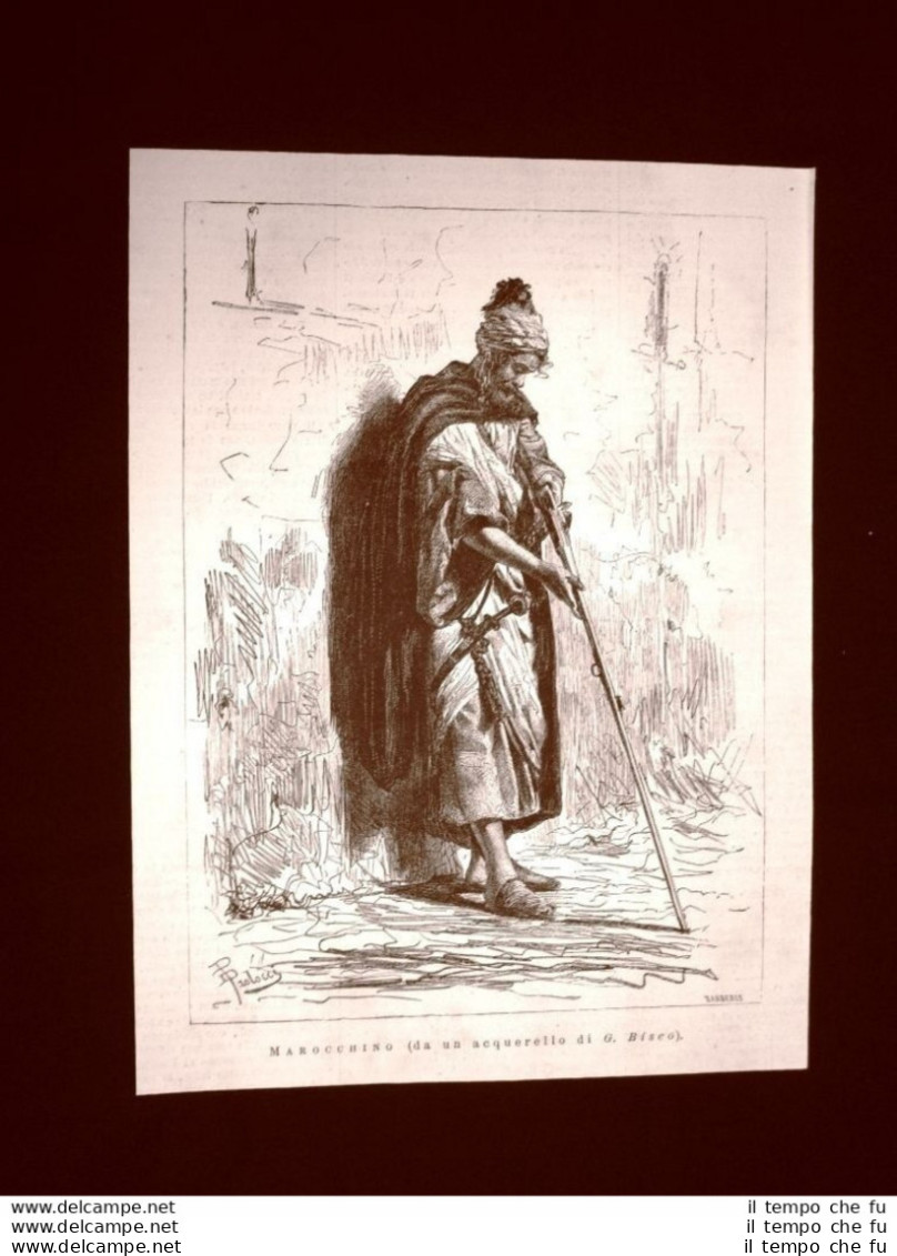 Esposizione D'arte Di Napoli Del 1877 Marocchino O Uomo Del Marocco Di G. Biseo - Before 1900