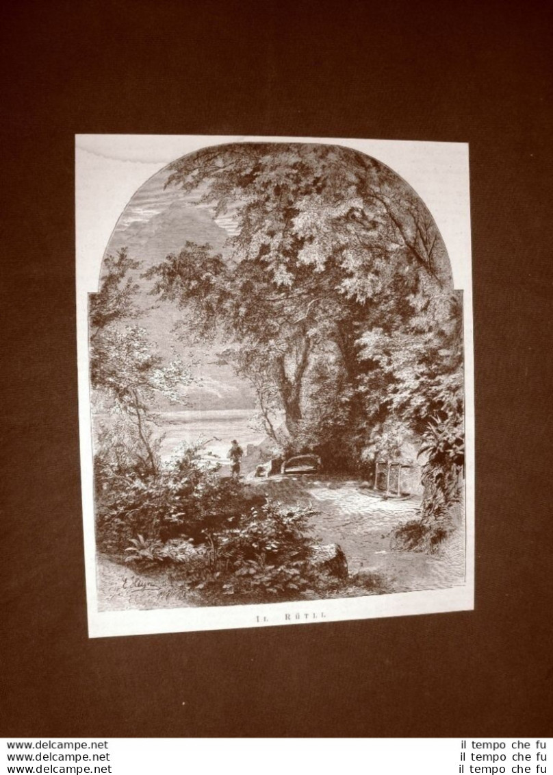 Il Grütli O Rütli Nel 1876 Lago 4 Cantoni Monumento Nazionale Della Svizzera - Before 1900