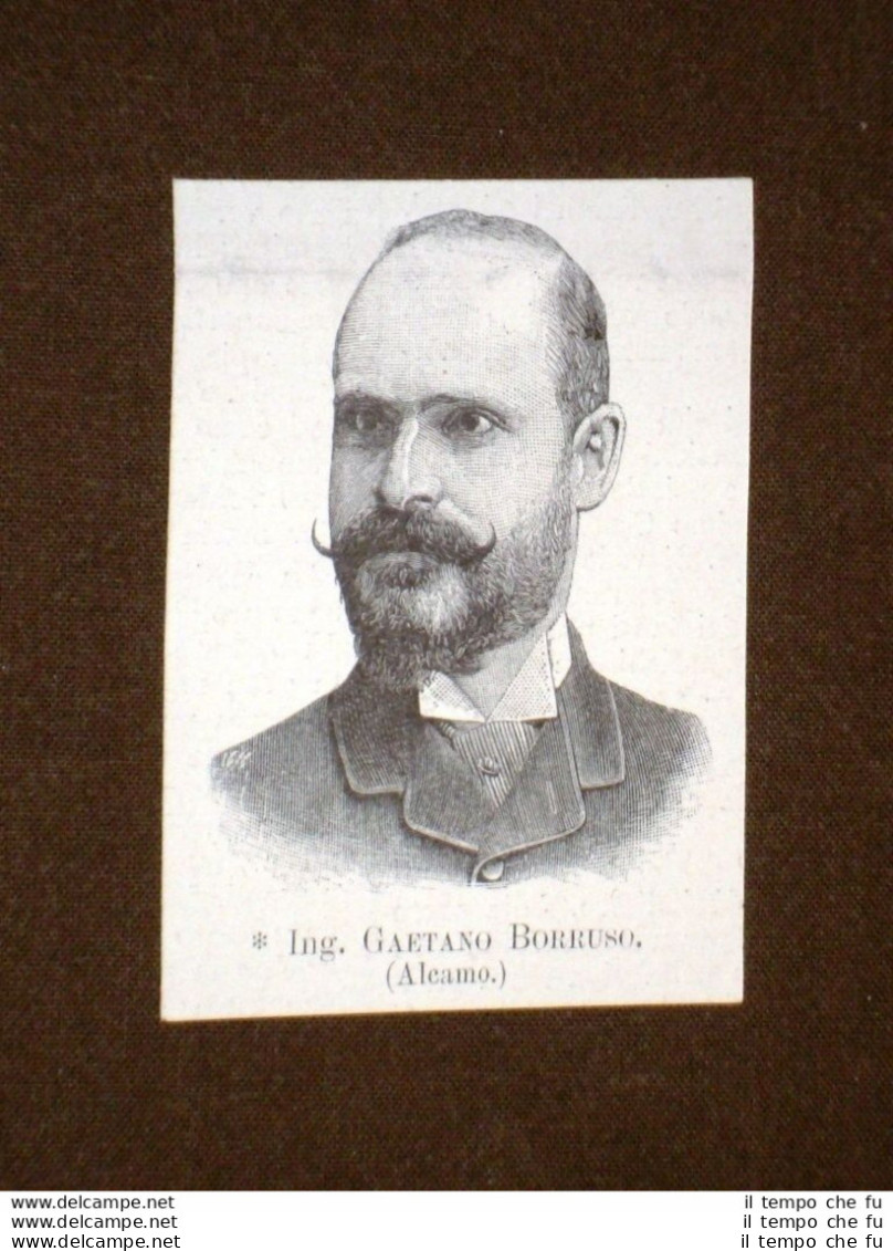 Deputato Nel 1894 Onorevole Ingegnere Gaetano Borruso Di Alcamo - Voor 1900