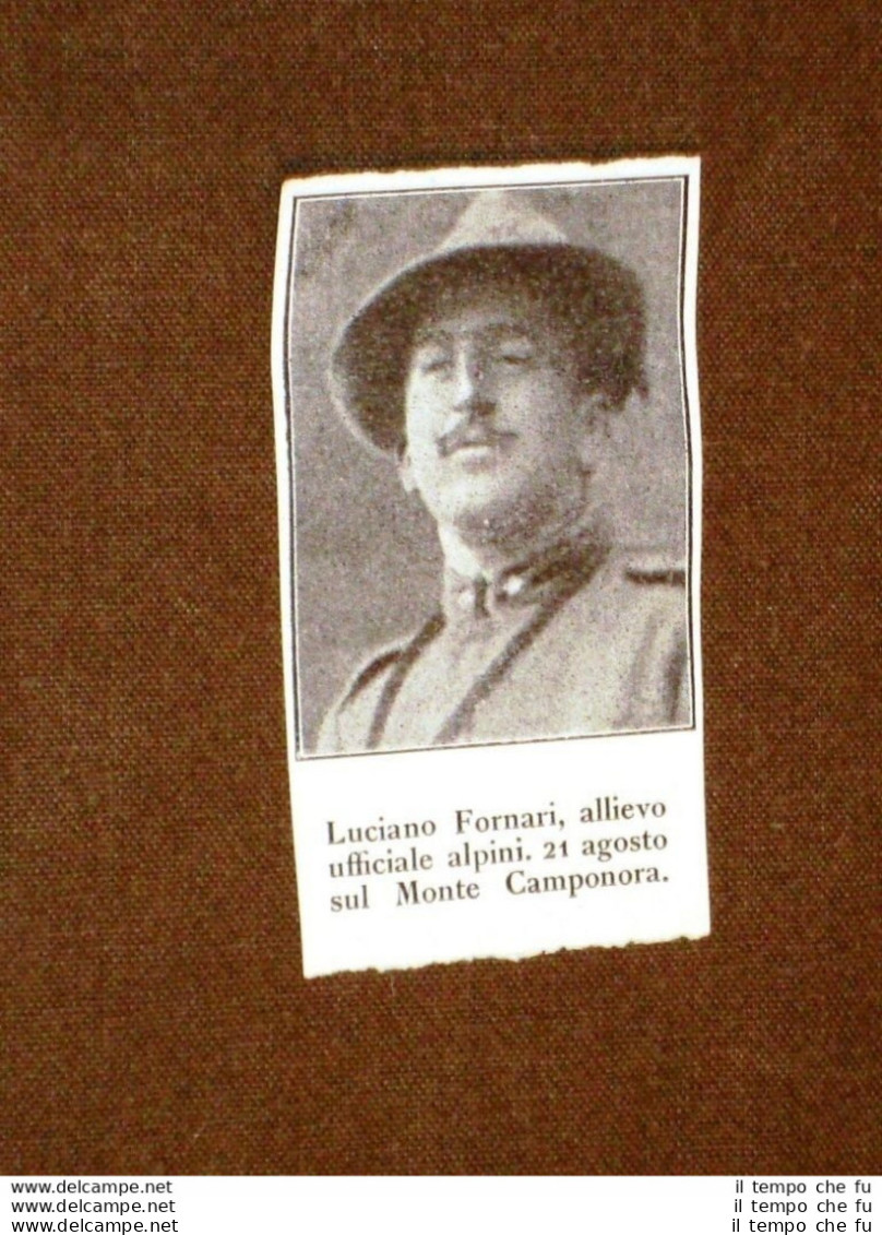 WW1 1a Guerra Mondiale 1914-1918 Caduto Per La Patria Luciano Fornari - Alpino - Otros & Sin Clasificación