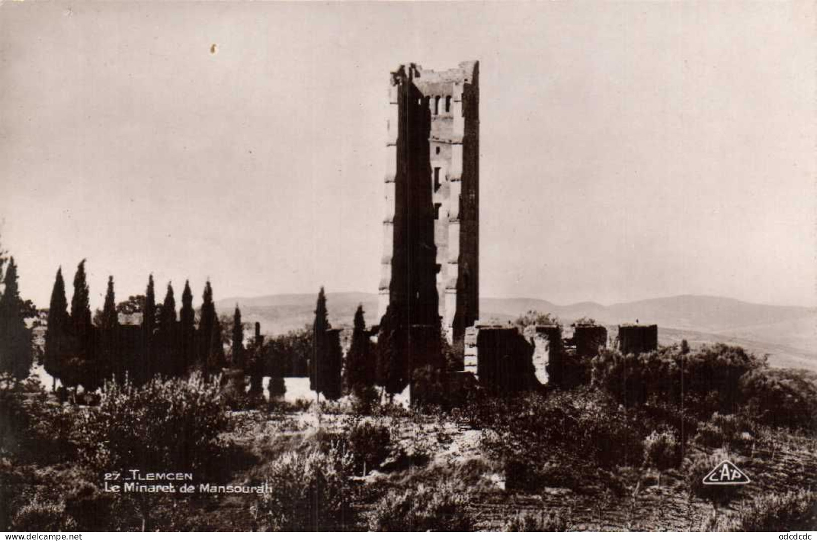 TLEMCEN Le Minaret De Mansourah RV - Tlemcen