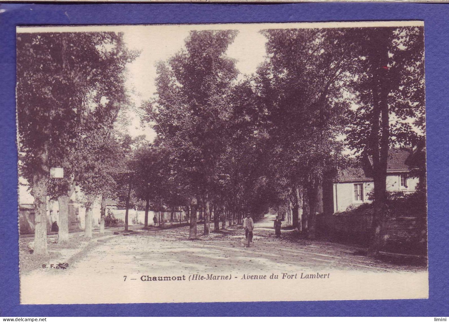 52 - CHAUMONT - AVENUE Du FORT LAMBERT - ANIMEE - - Chaumont