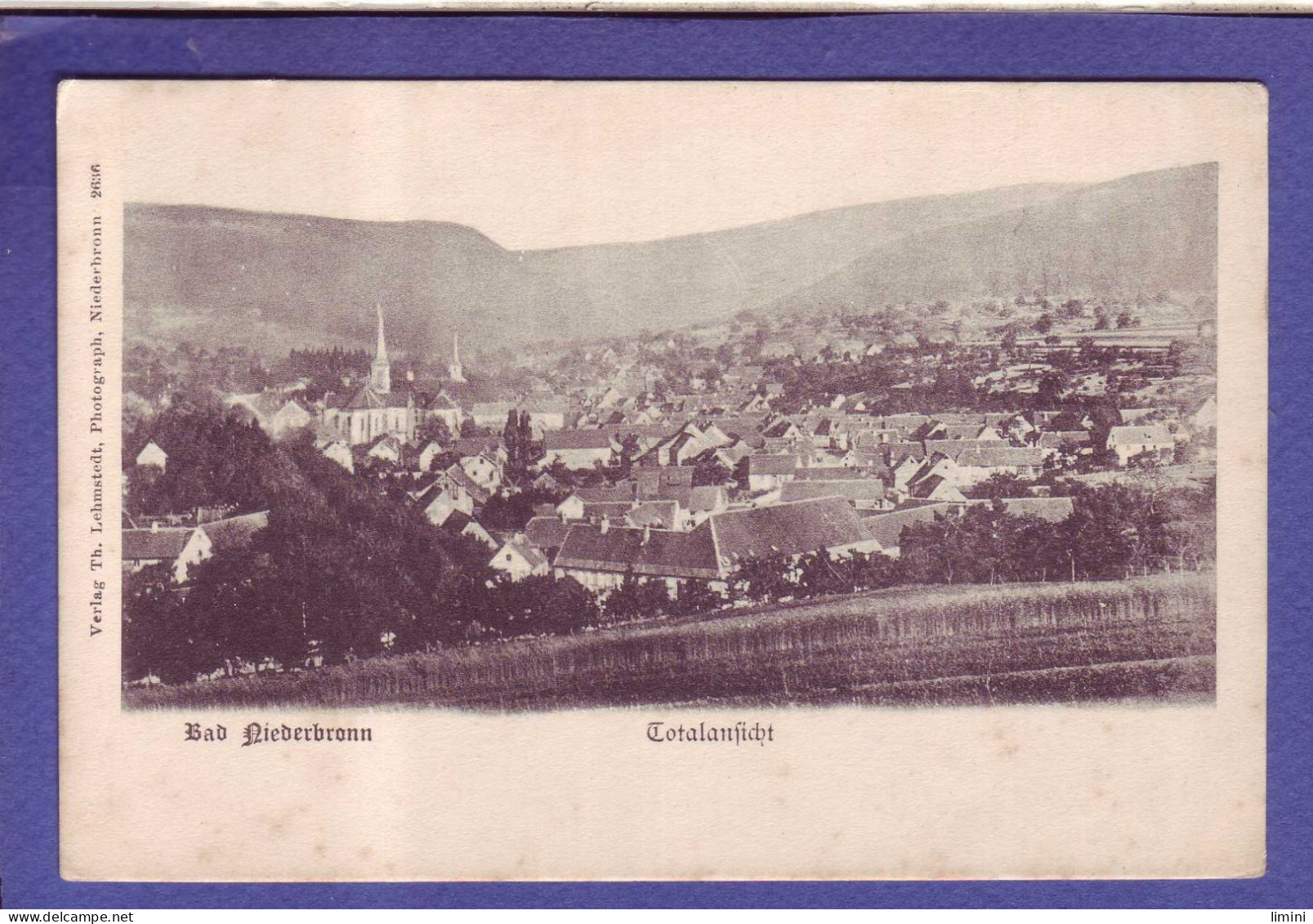 67 - NIEDERBRONN Les BAINS - PANORAMA - - Niederbronn Les Bains