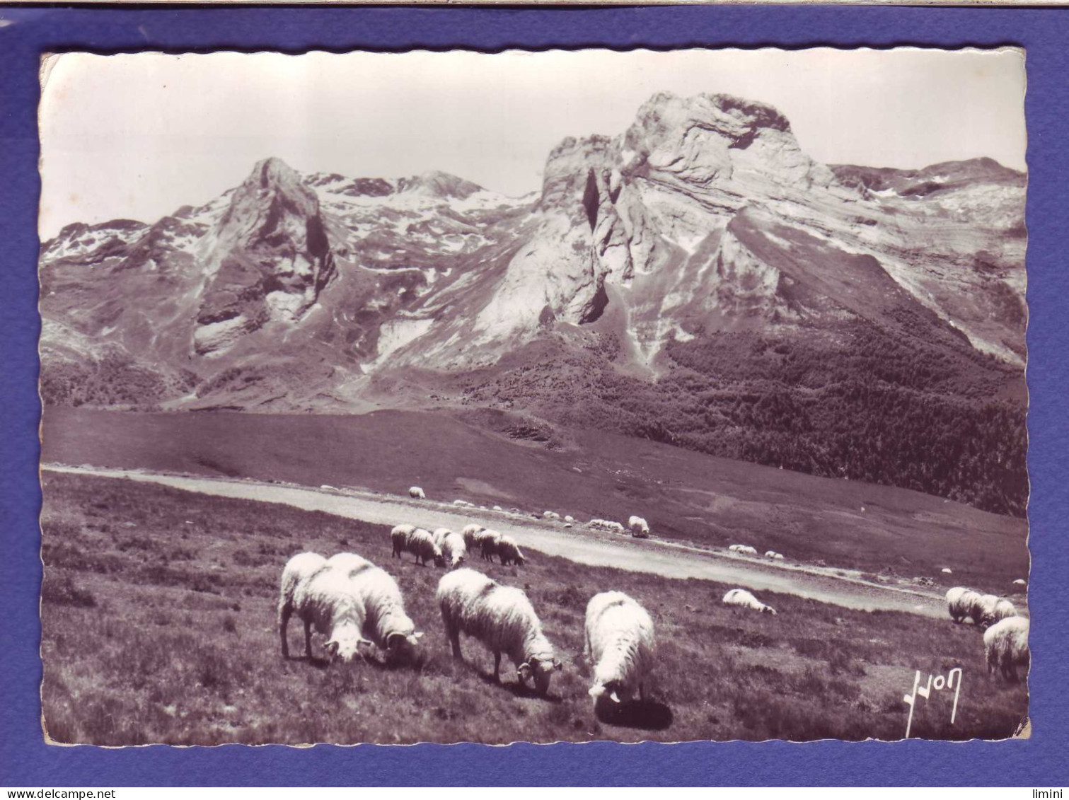 64 - GOURETTE - L'AUBISQUE - PÉNEMÉDAA - LE GER - VUE DE L'HOTEL Des """" CRÊTES BLANCHES """" - MOUTONS -  - Andere & Zonder Classificatie