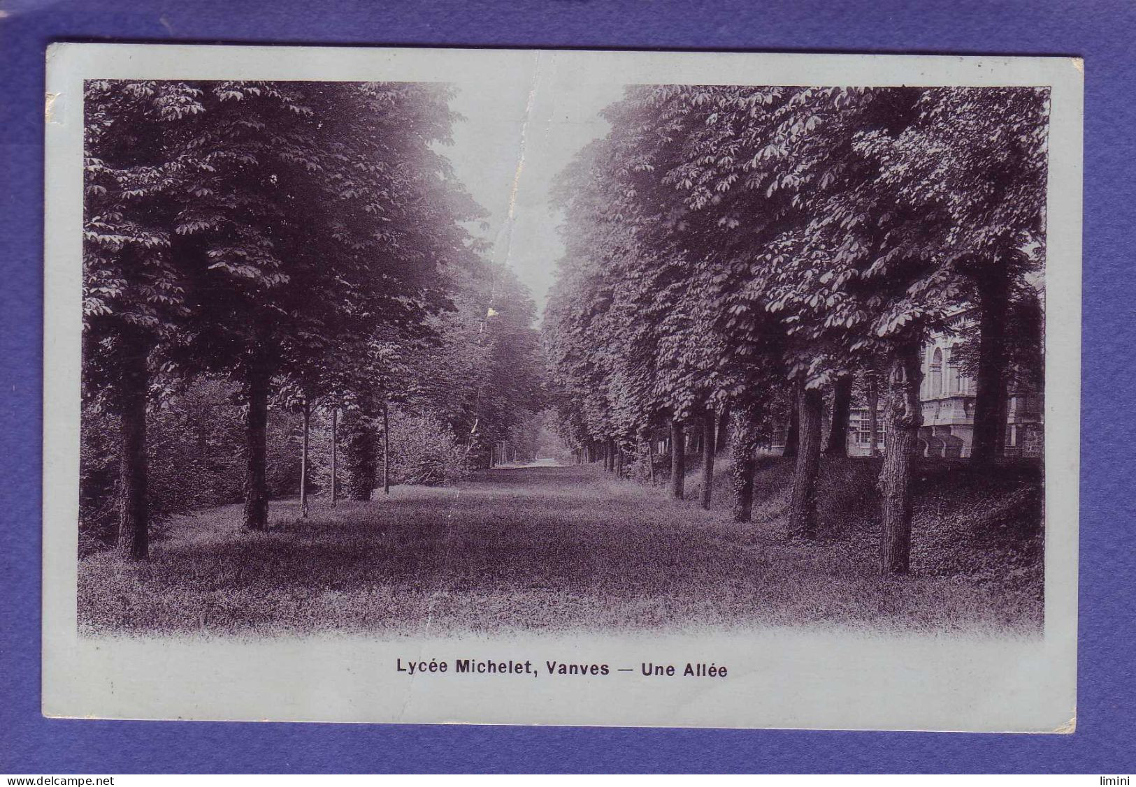 92 - VANVES - LYCEE MICHELET - UNE ALLEE -  - Vanves