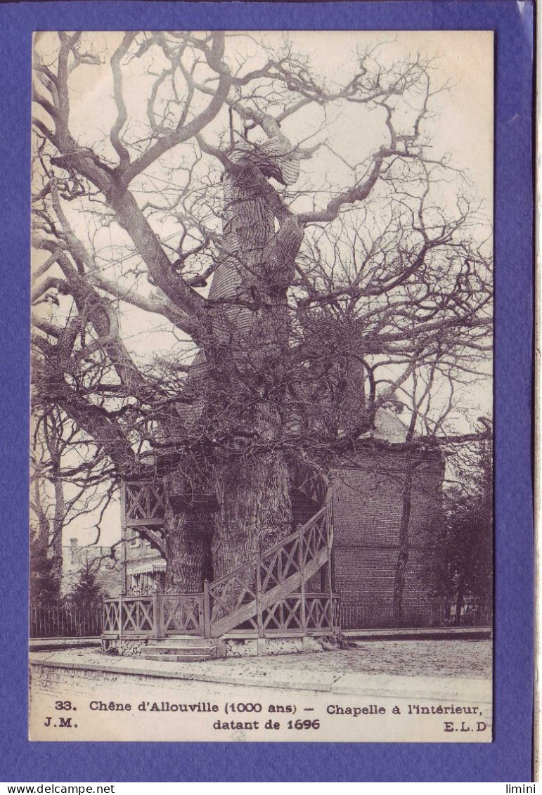 76 - ALLOUVILLE - CHËNE 1000 ANS - CHAPELLE à L'INTÉRIEUR -  - Allouville-Bellefosse