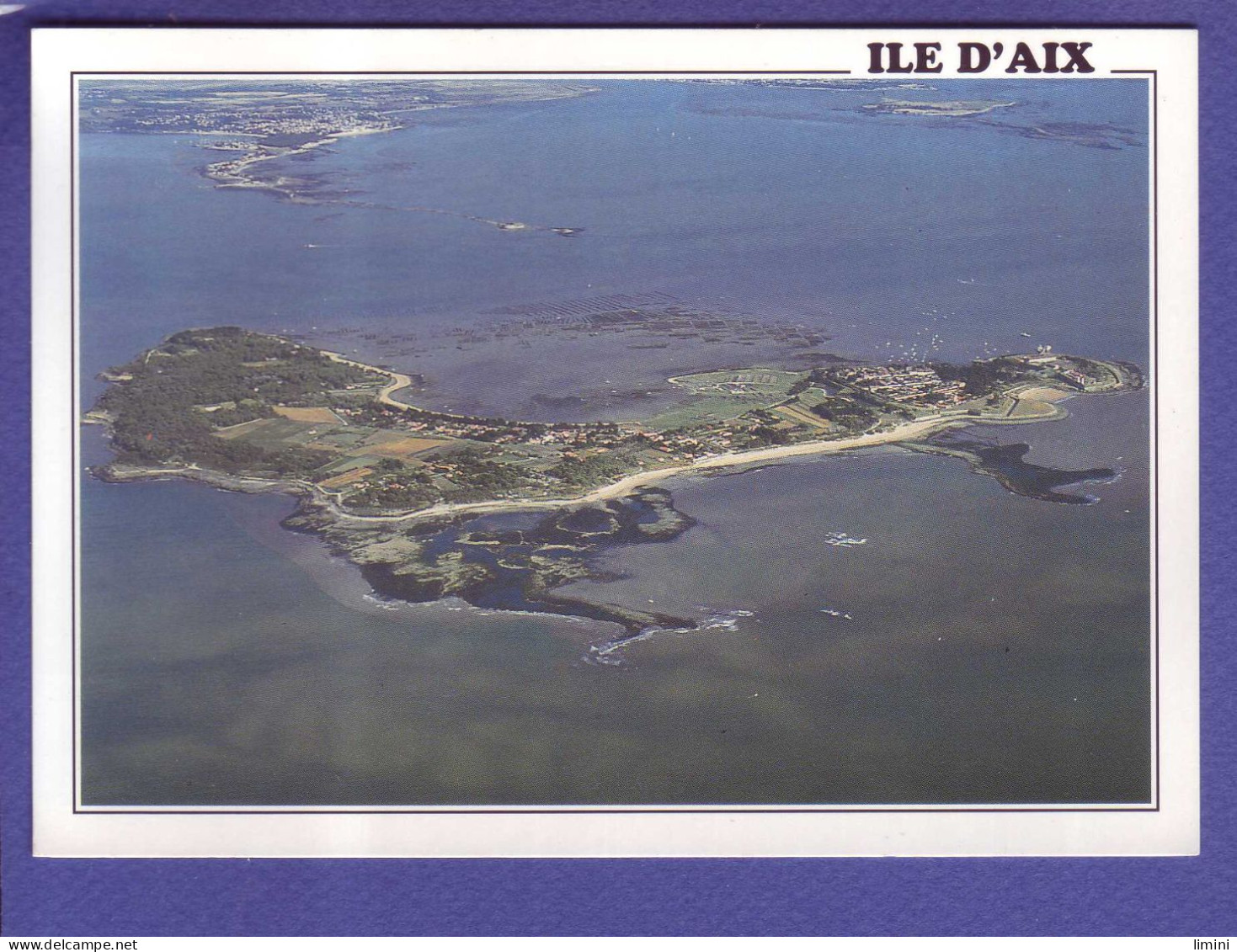 14 - ILE D'AIX - VUE AERIENNE -  - Other & Unclassified