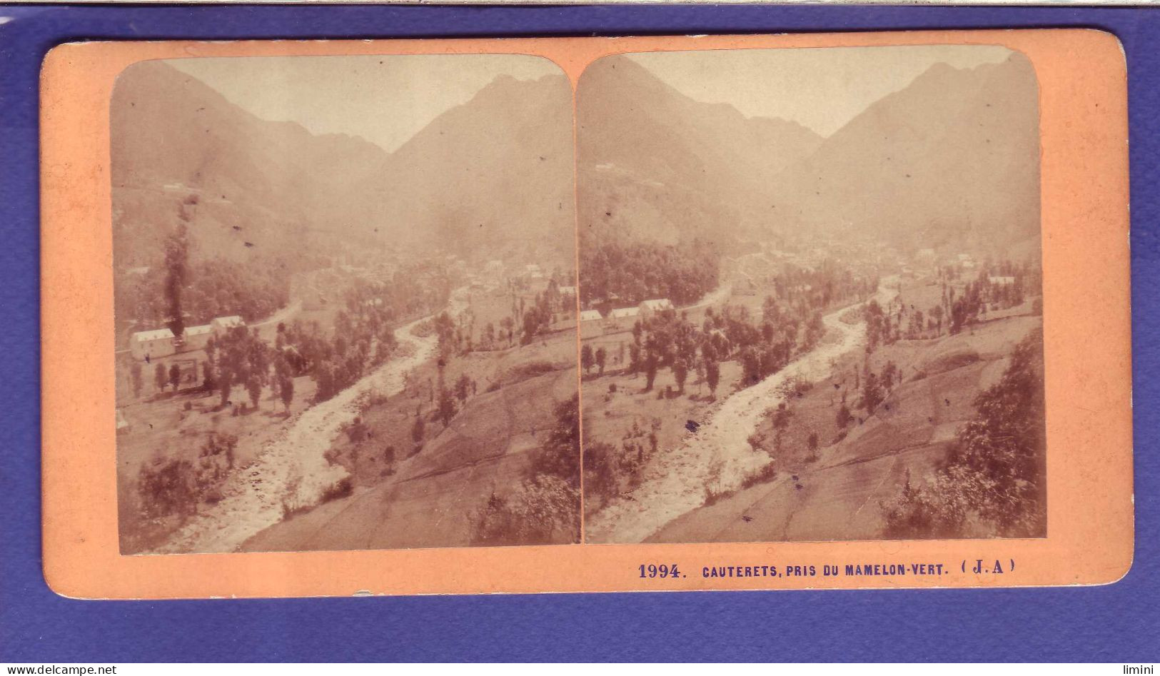 65 - CARTE STÉREOSCOPIQUE - CAUTERET - PANORAMA - PRIS Du MAMELON VERT - - Cauterets