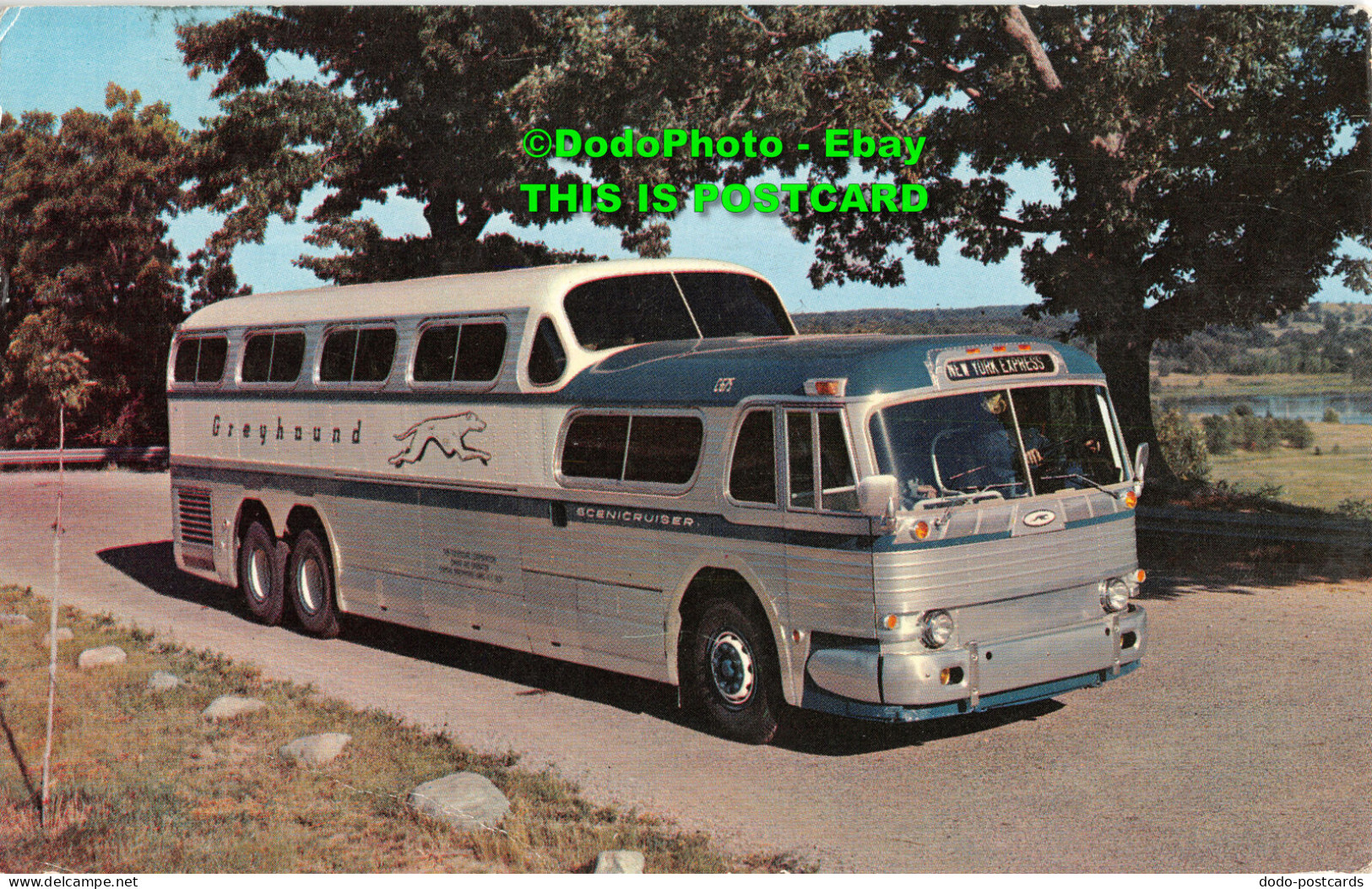 R454527 The Greyhound Scenicruiser. Plastichrome. Colourpicture Publishers. 1959 - Welt