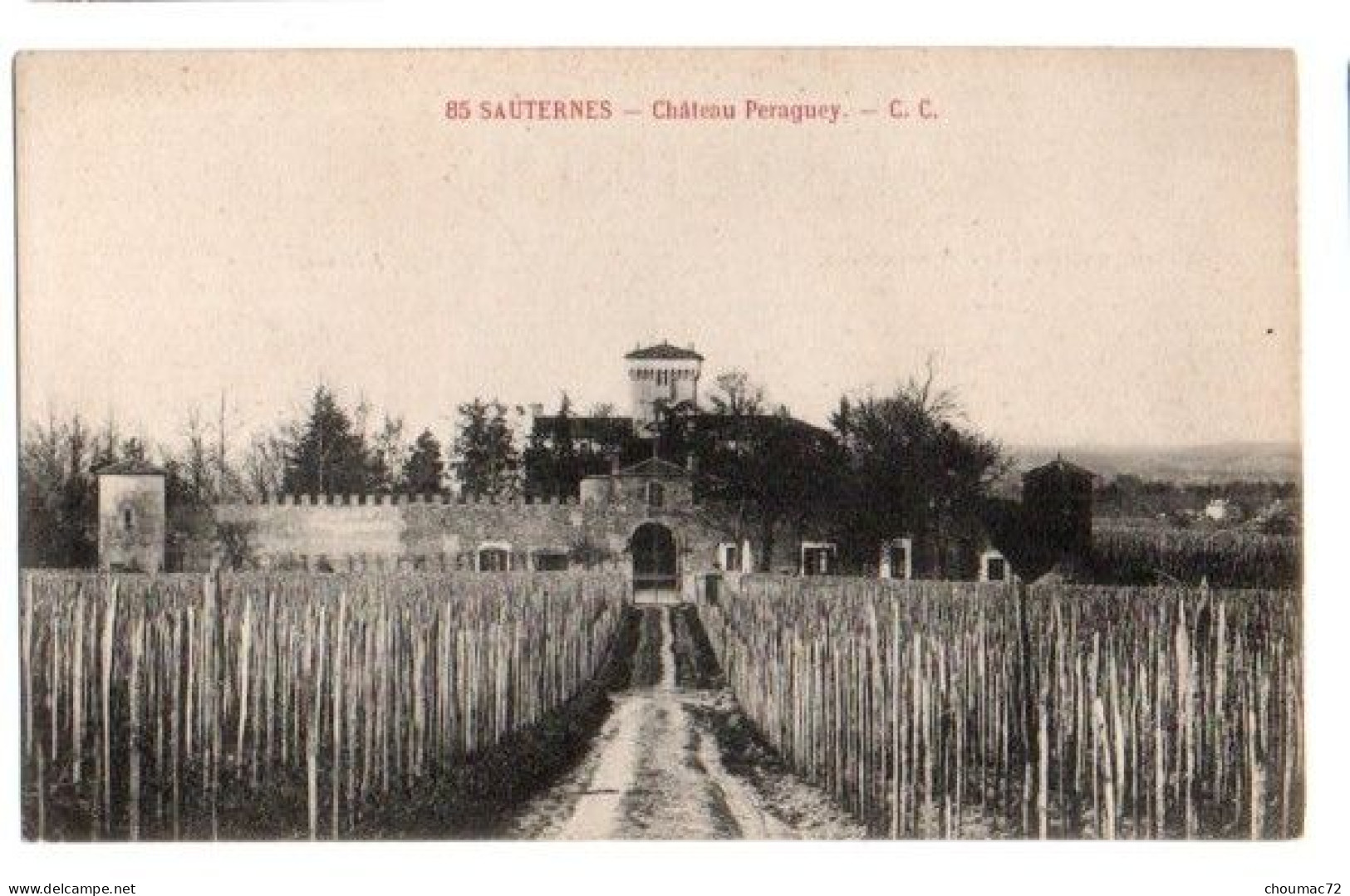 (33) 564, Sauternes, CC 85, Château Peraguey - Andere & Zonder Classificatie