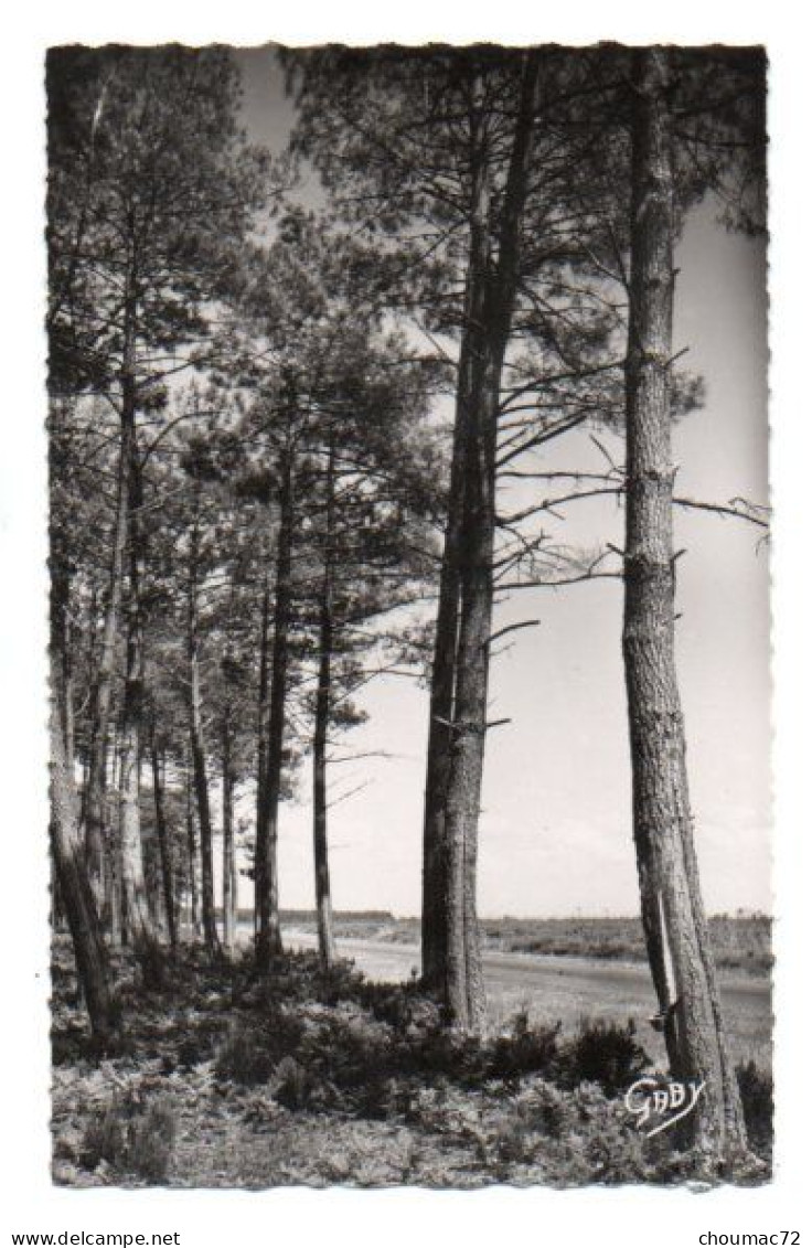 (33) 444, Arès, Artaud 26, Sous-bois Près De L'Aérium - Arès