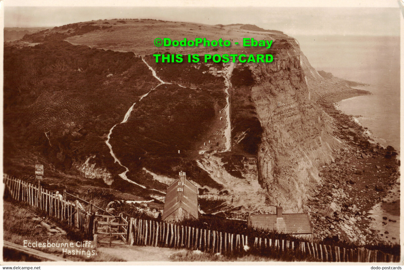 R454834 Ecclesbourne Cliff. Hastings. RP - Monde