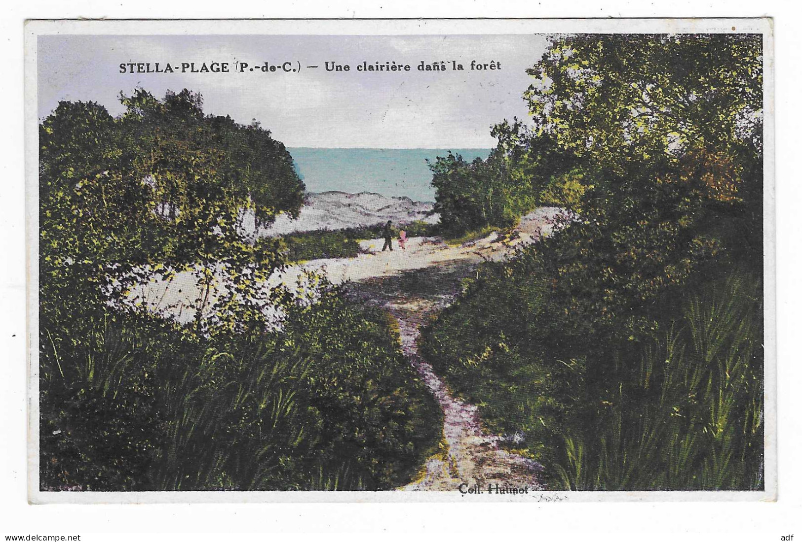 CPA STELLA PLAGE, UNE CLAIRIERE DANS LA FORET, PAS DE CALAIS 62 - Other & Unclassified