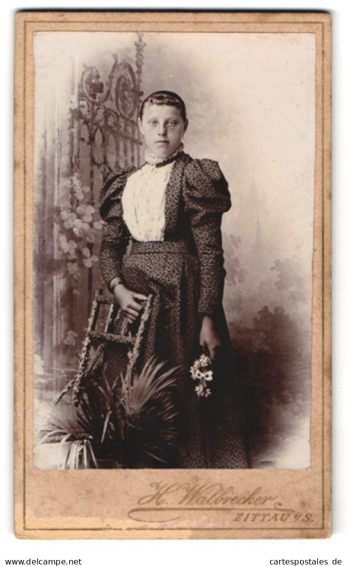 Fotografie H. Walbrecker, Zittau I. S., Breite Strasse 9, Junge Dame Mit Stirnlocken Im Gemusterten Puffärmelkleid  - Anonyme Personen