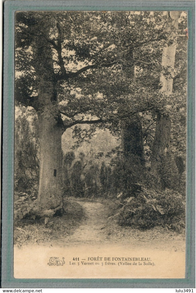 CPA (77) FORÊT-de-FONTAINEBLEAU - Thème: ARBRE - Aspect Des 3 Vernet Ou 3 Frères De La Vallée De La Solle En 1906 - Fontainebleau