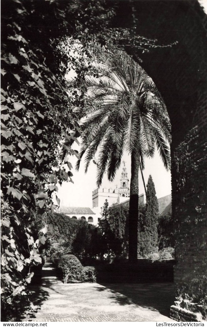 ESPAGNE - Sevilla - Alcazar - Entrée Du Cour De Monteria - Carte Postale - Sevilla