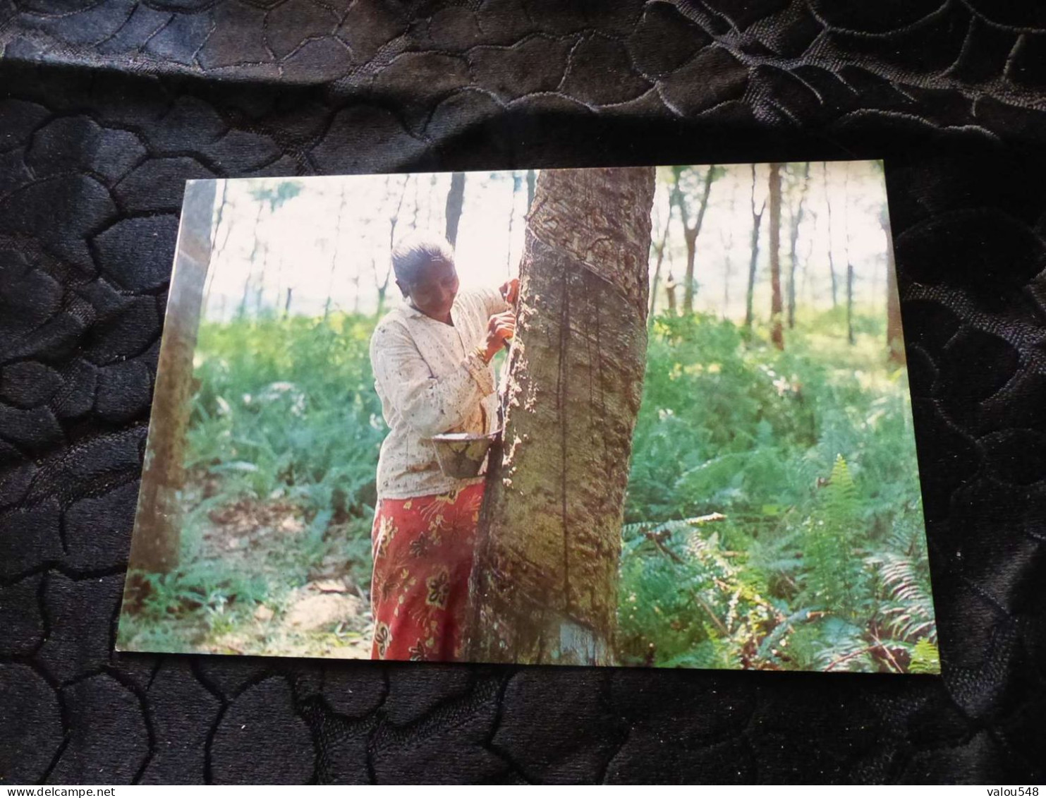 C-150 , MALAYSIE, MALAYSIA, A Woman Tapping A Rubber Tree - Malaysia