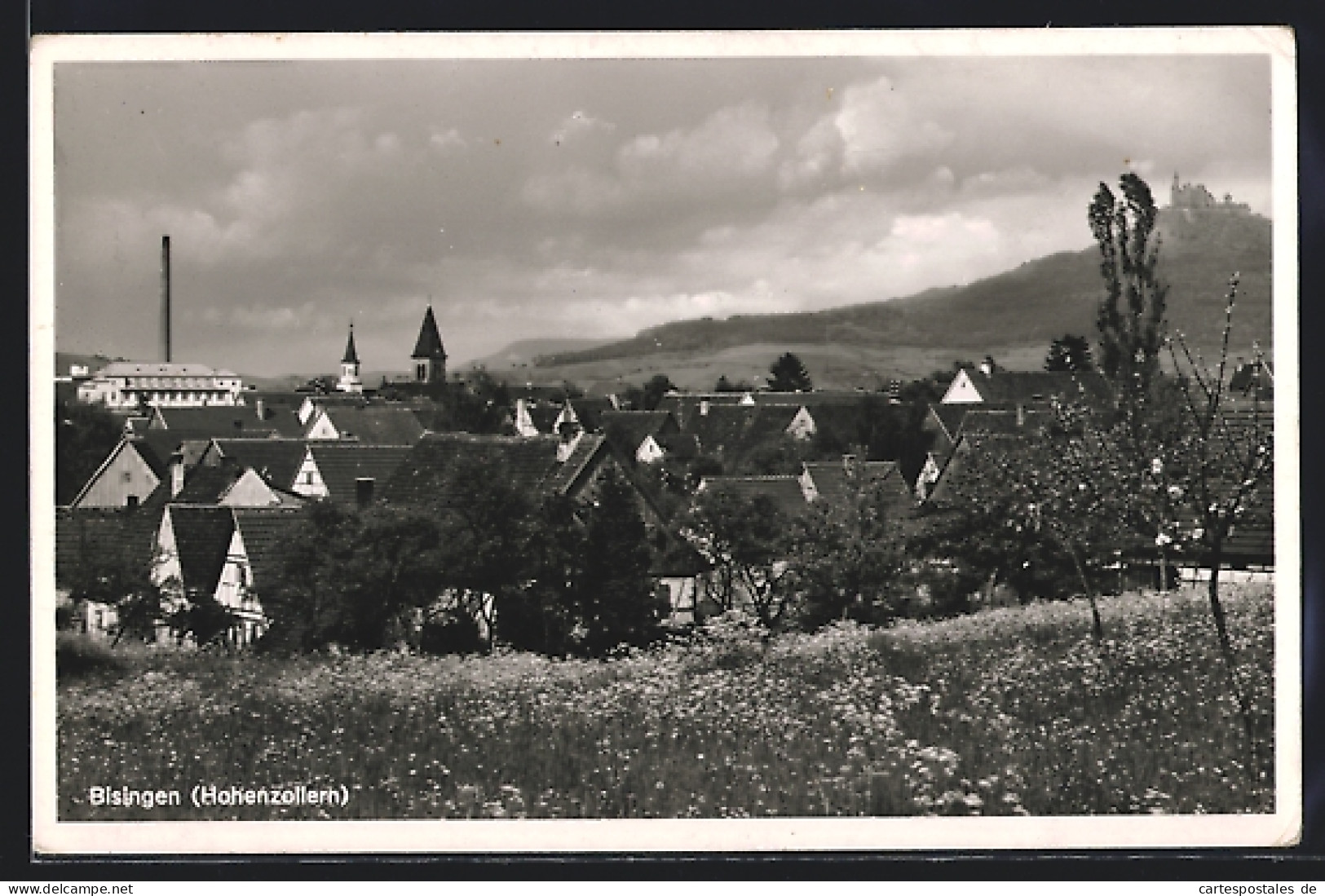 AK Bisingen /Hohenzollern, Ortsansicht Mit Schloss  - Other & Unclassified