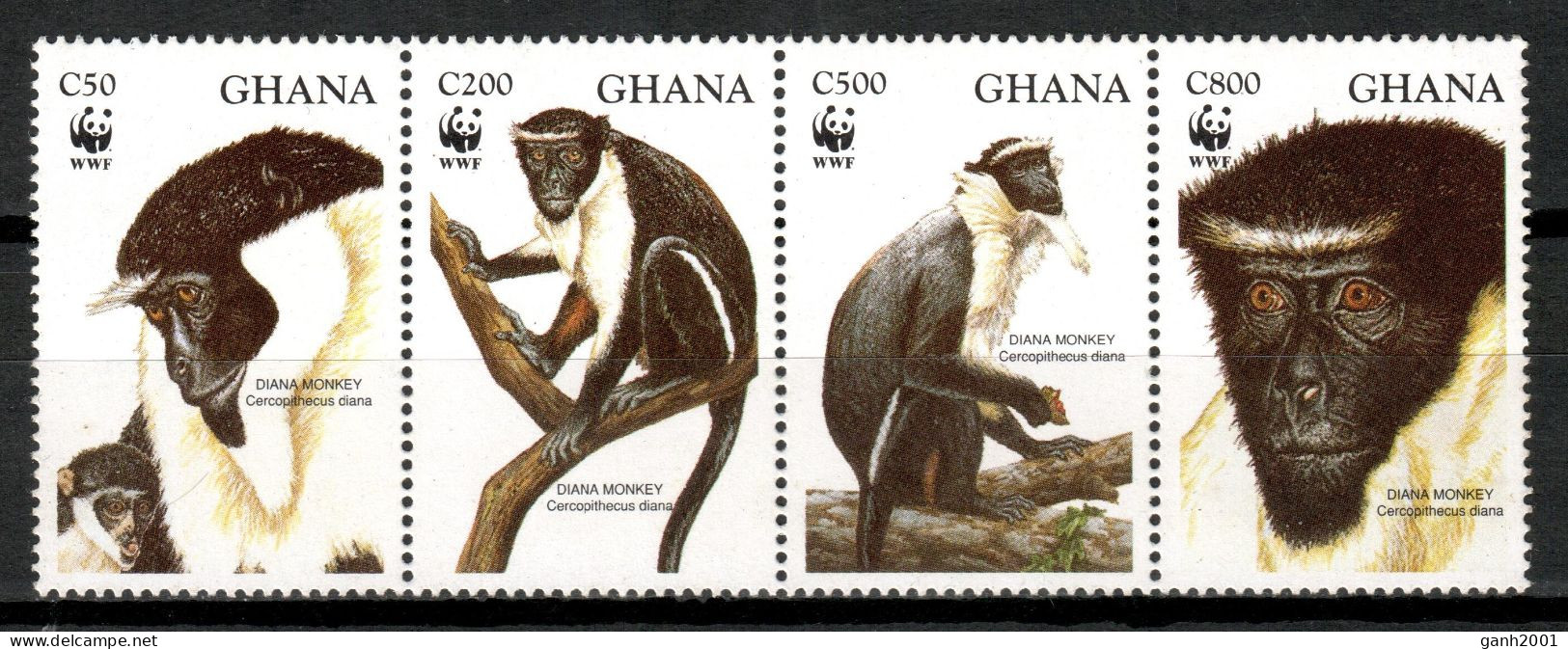 Ghana 1994 / Fauna Mammals Monkeys WWF MNH Mamíferos Monos Säugetiere / Cu19920  5-1 - Monkeys