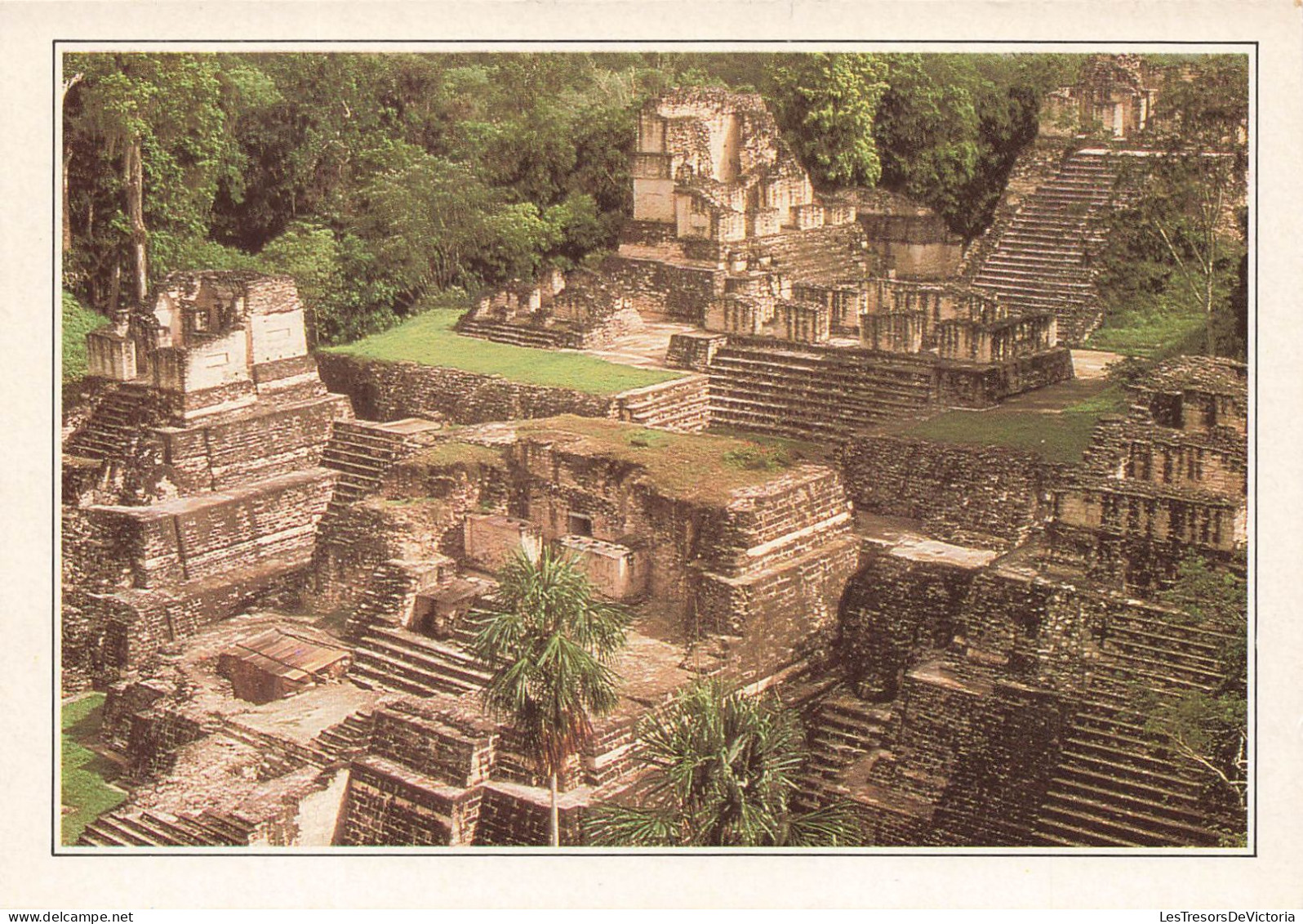 GUATEMALA - Tikal - L'ancienne Métropole Maya - Vue Générale - Carte Postale Ancienne - Guatemala