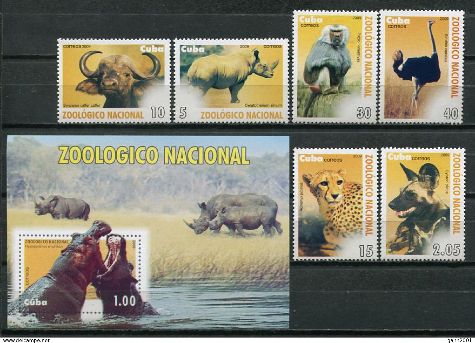 Cuba 2009 / Fauna Mammals Birds MNH Mamíferos Aves Vögel Säugetiere / Cu8529  C3-7 - Autres & Non Classés