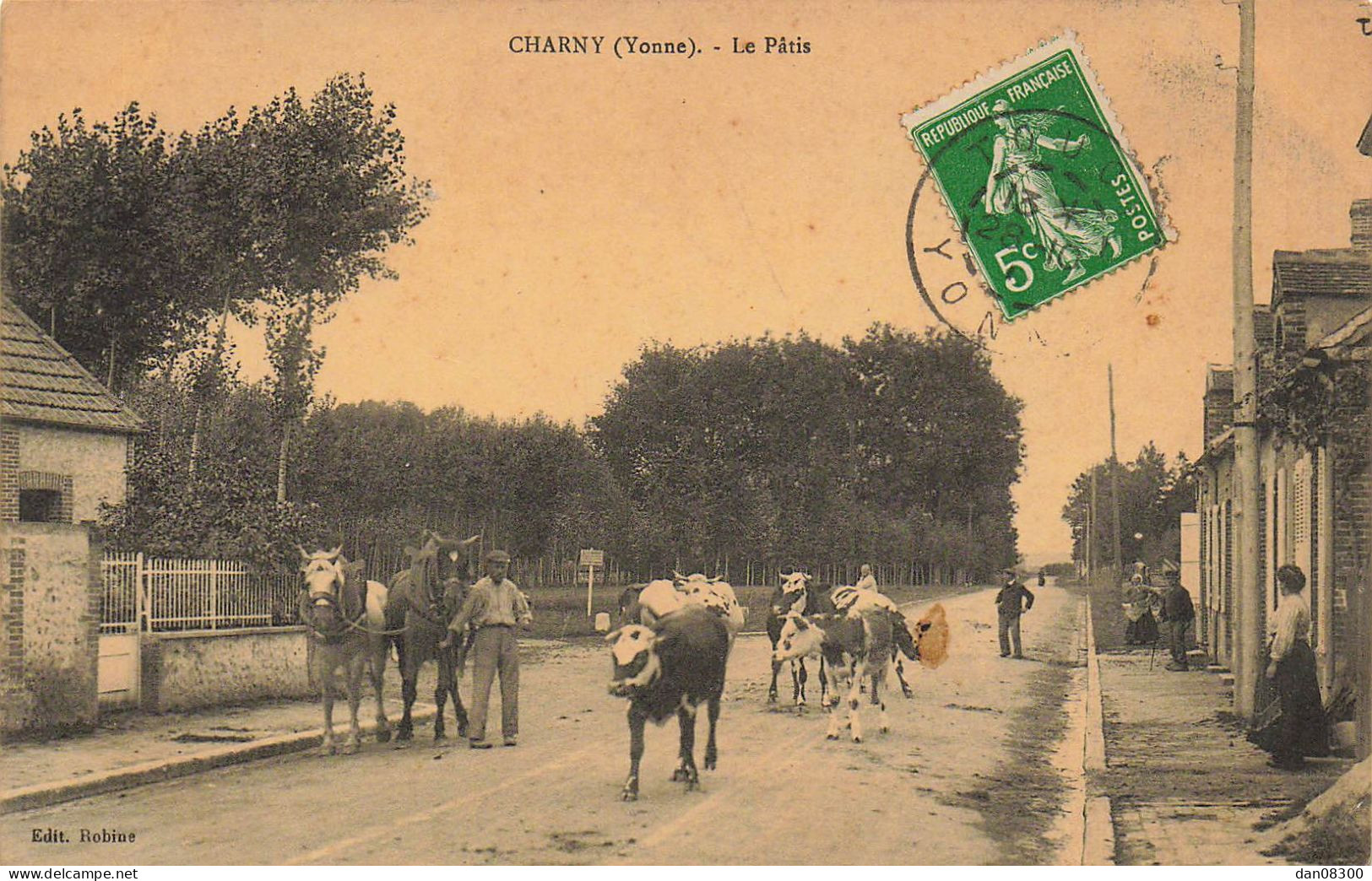 89 CHARNY LE PATIS ANIMEE CHEVAUX VACHES MAQUIGNON - Charny