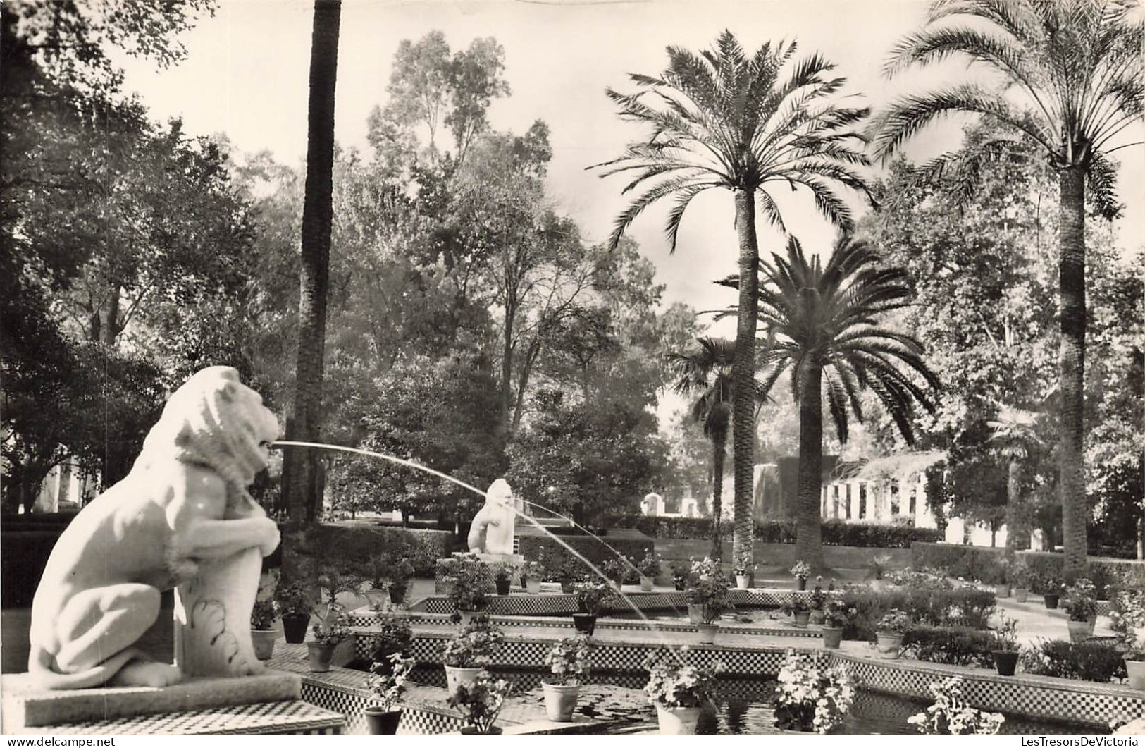 ESPAGNE - Sevilla - Parc De Maria Luisa - Fontaine De Lions - Carte Postale - Sevilla