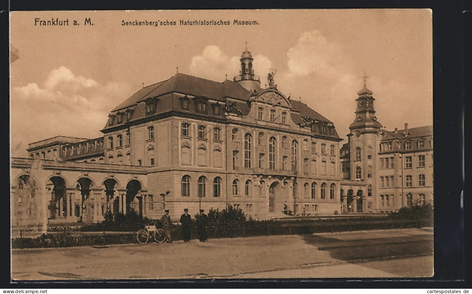 AK Frankfurt A. M., Senckenberg'sches Naturhistorisches Museum  - Frankfurt A. Main