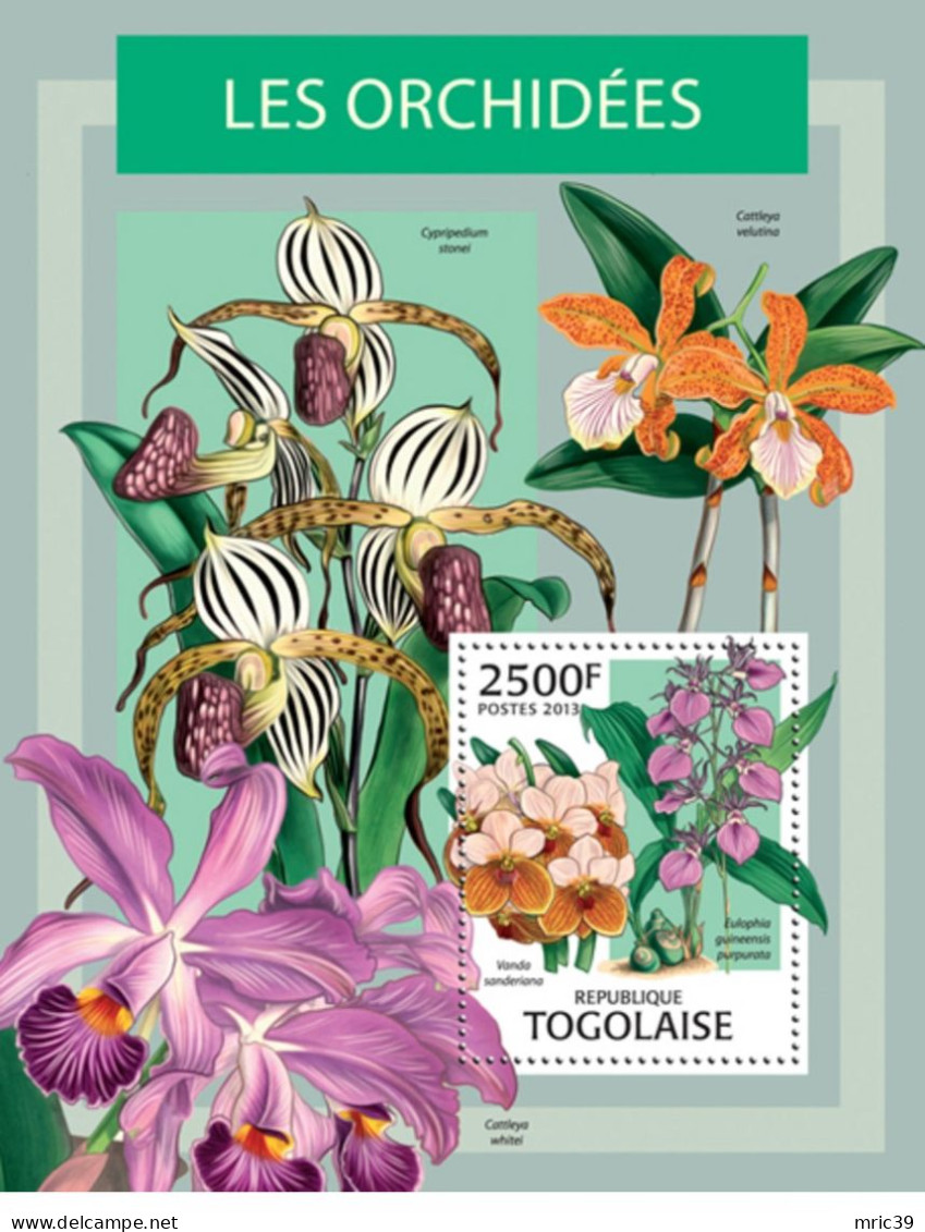 Bloc Sheet  Fleurs Orchidées Flowers Orchids  Neuf  MNH **  Togo 2013 - Orchidées