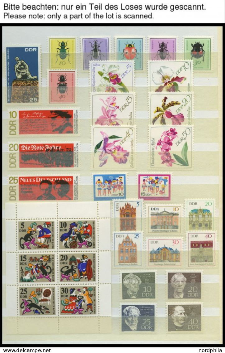 SAMMLUNGEN **, Komplette Postfrische Teilsamnmlung DDR Von 1964-82 Sauber In 2 Einsteckbüchern, Prachterhaltung - Collections