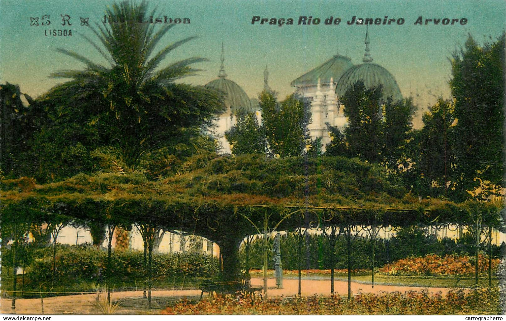 Portugal Lisboa Praca Rio De Janeiro Arvore - Lisboa