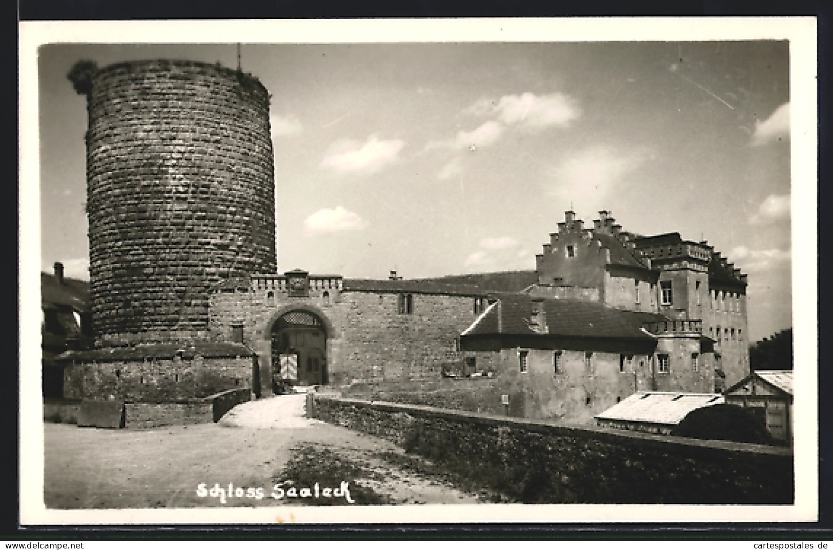 AK Saaleck / Hammelburg, Blick Auf Das Schloss  - Hammelburg